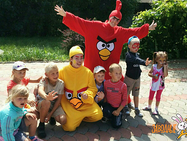 Аниматоры angry birds фото